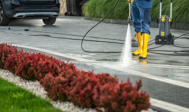 Best Solar Panel Cleaning  in Deerwood, TX